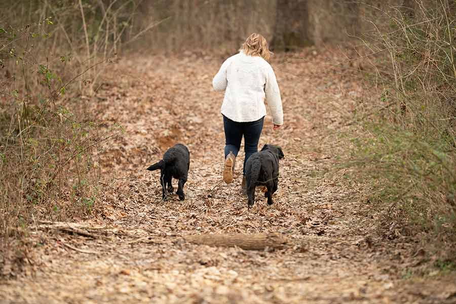 2 dogs and owner walking on trail