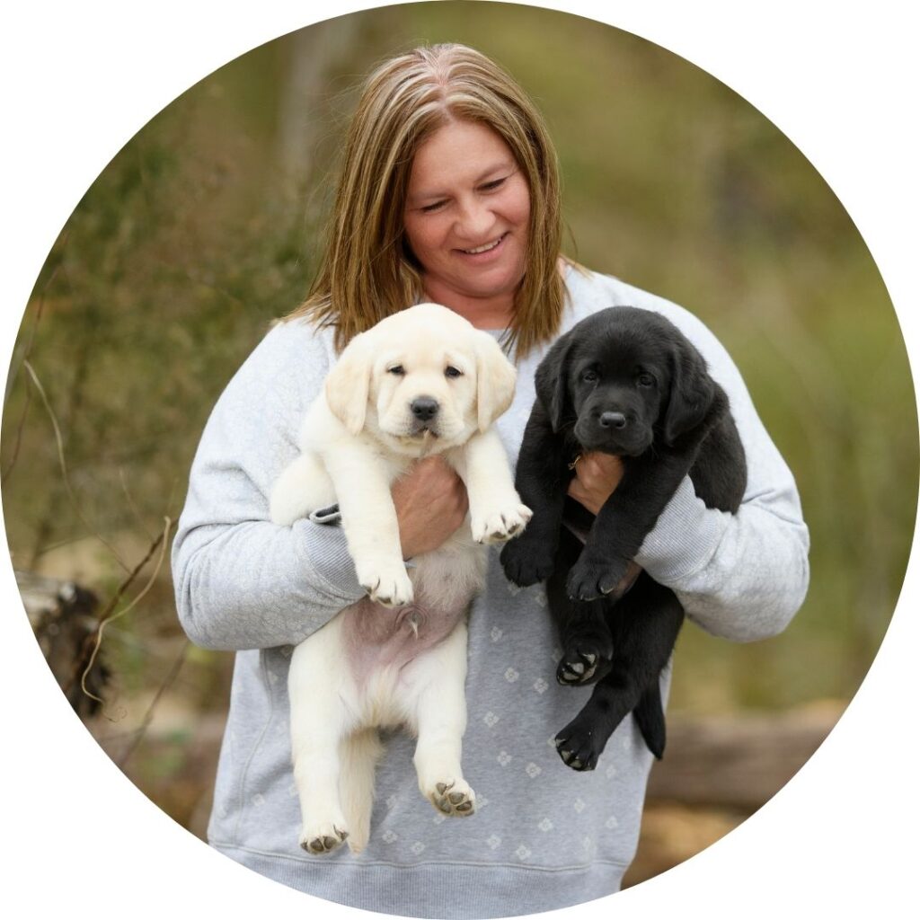 Toni McNally holding English Labrador Puppies