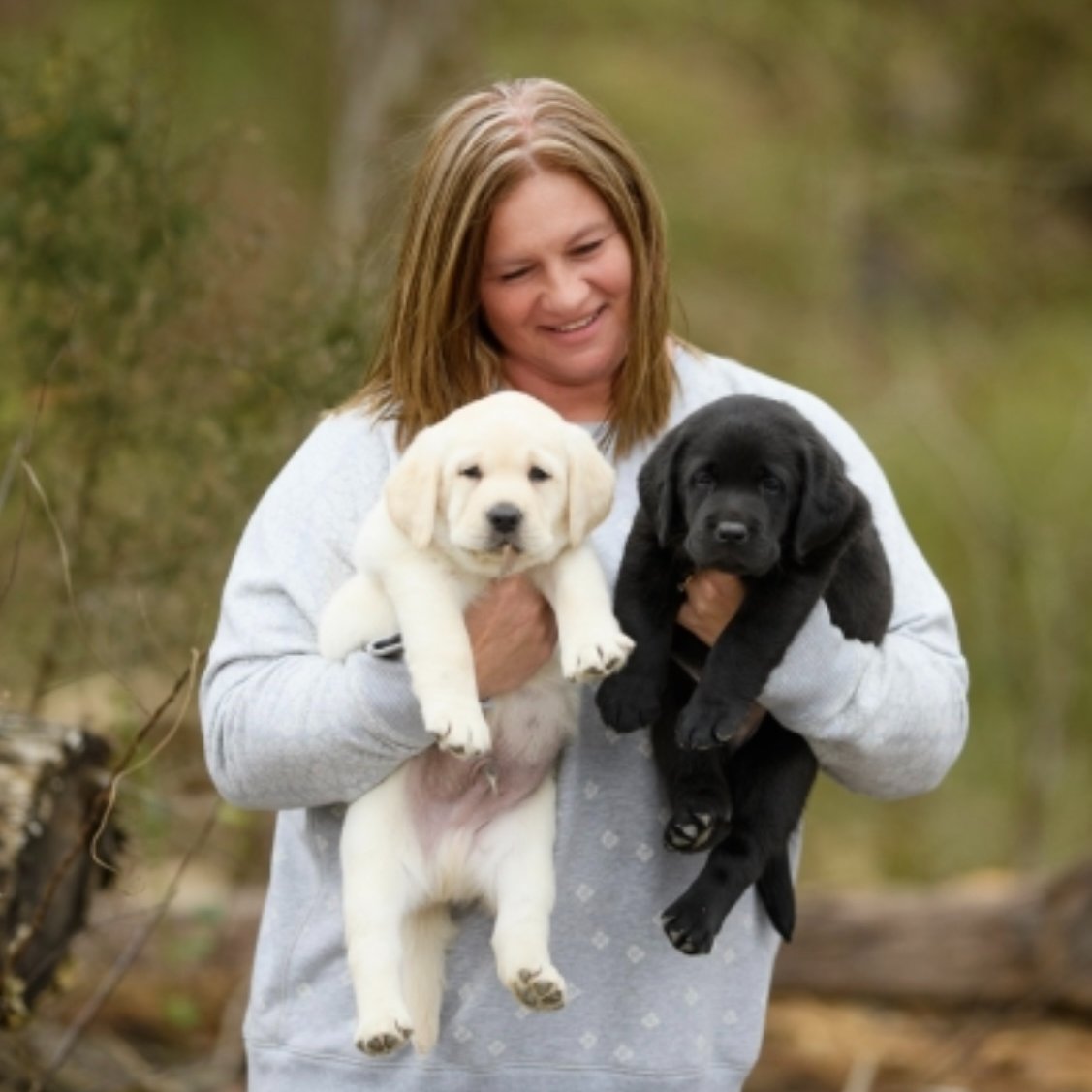 Toni Holding Labrador Puppies